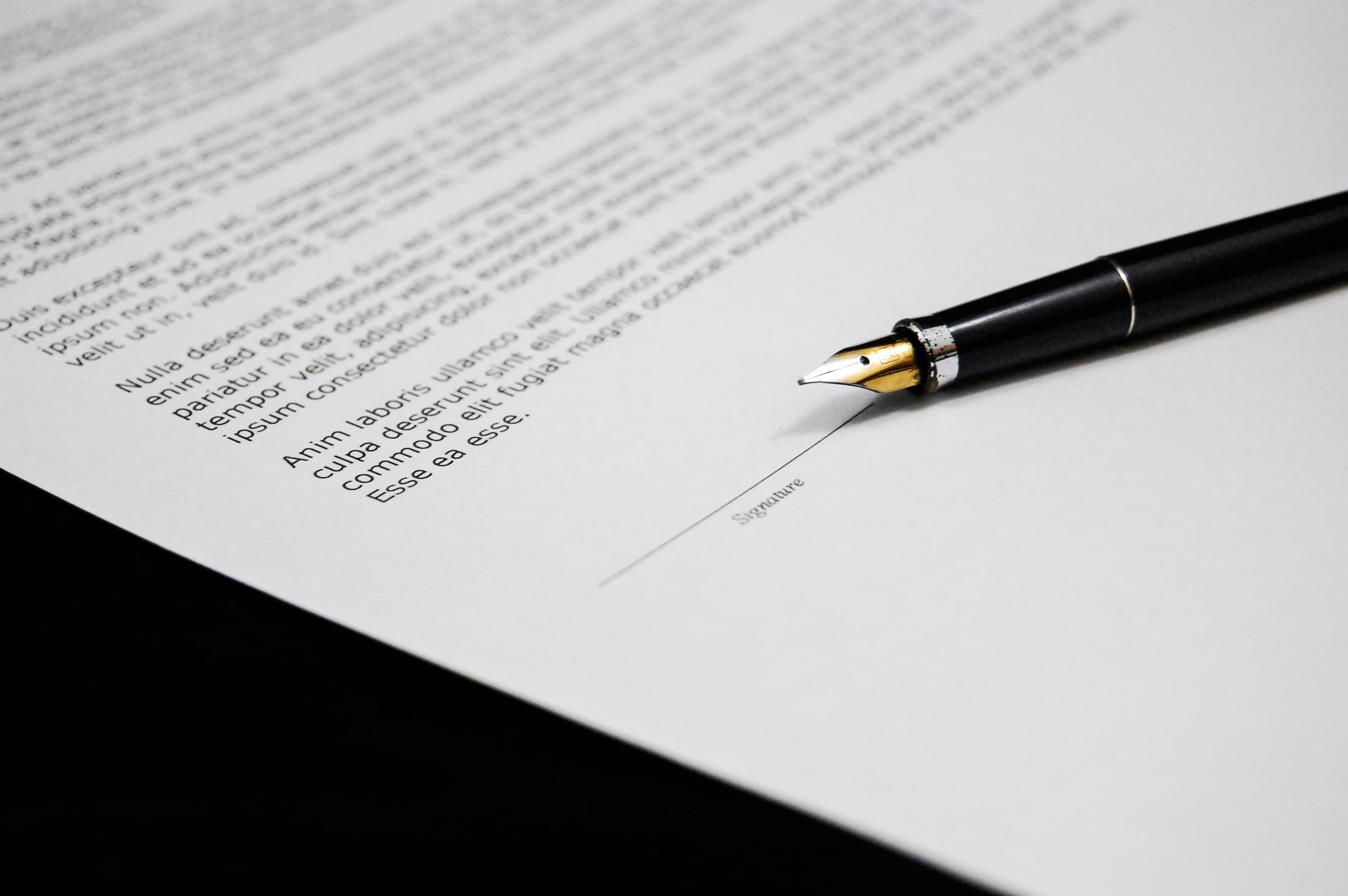 Professional Document Translation Services